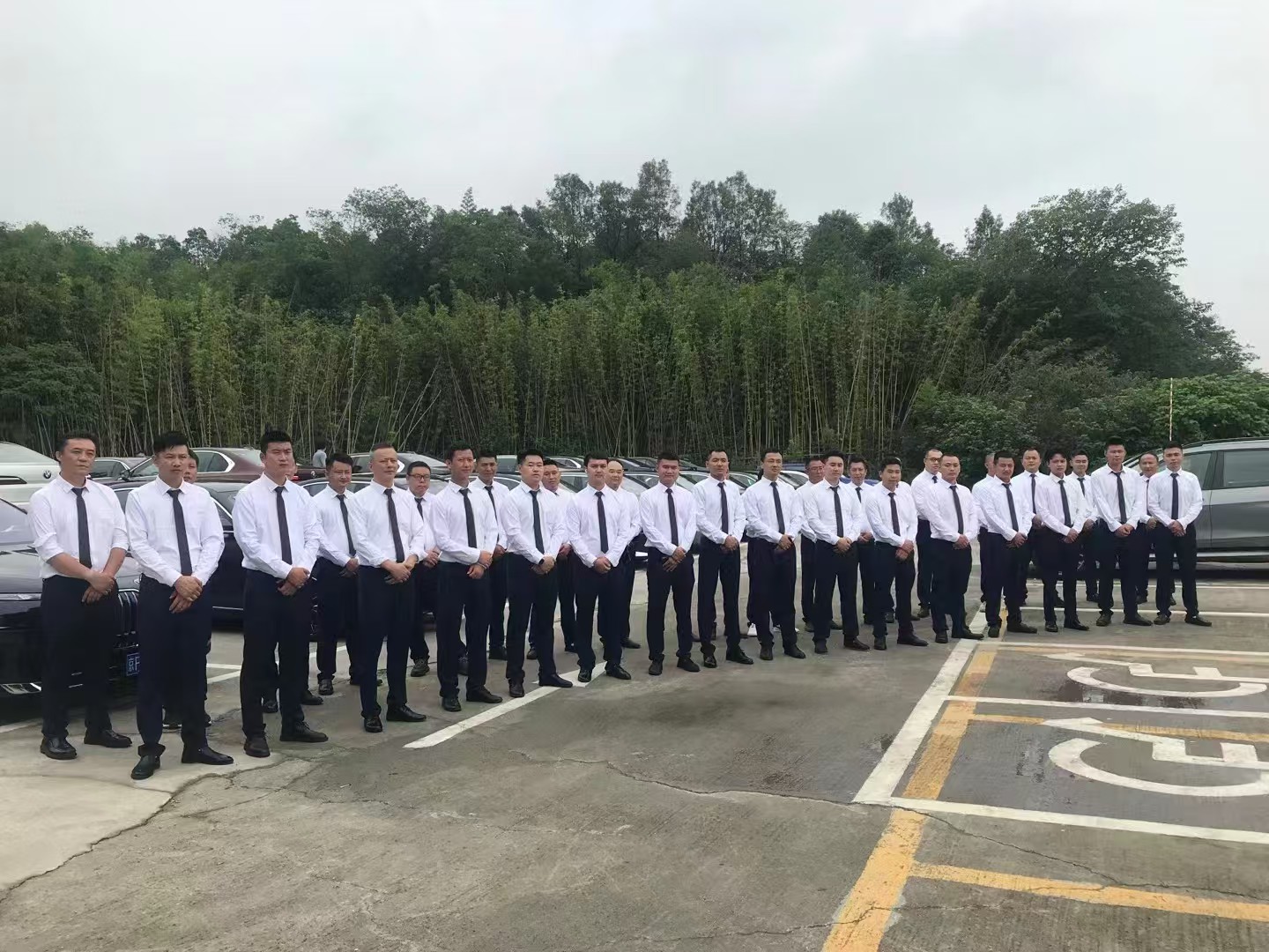 【成都租迈巴赫】成都商务包车 机场接送 成都婚车包车 选迈巴赫 高端出行 成都租车选七虎，正规安全|价格实惠|服务周到